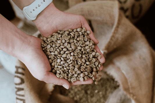 What does the roasting process do to coffee?
