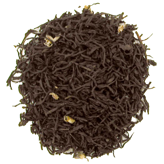 Black Currant