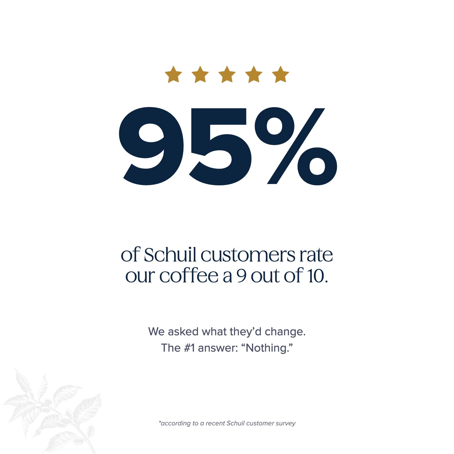 95% of Schuil customers rate our coffee a 9 out of 10 — five-star customer survey stat