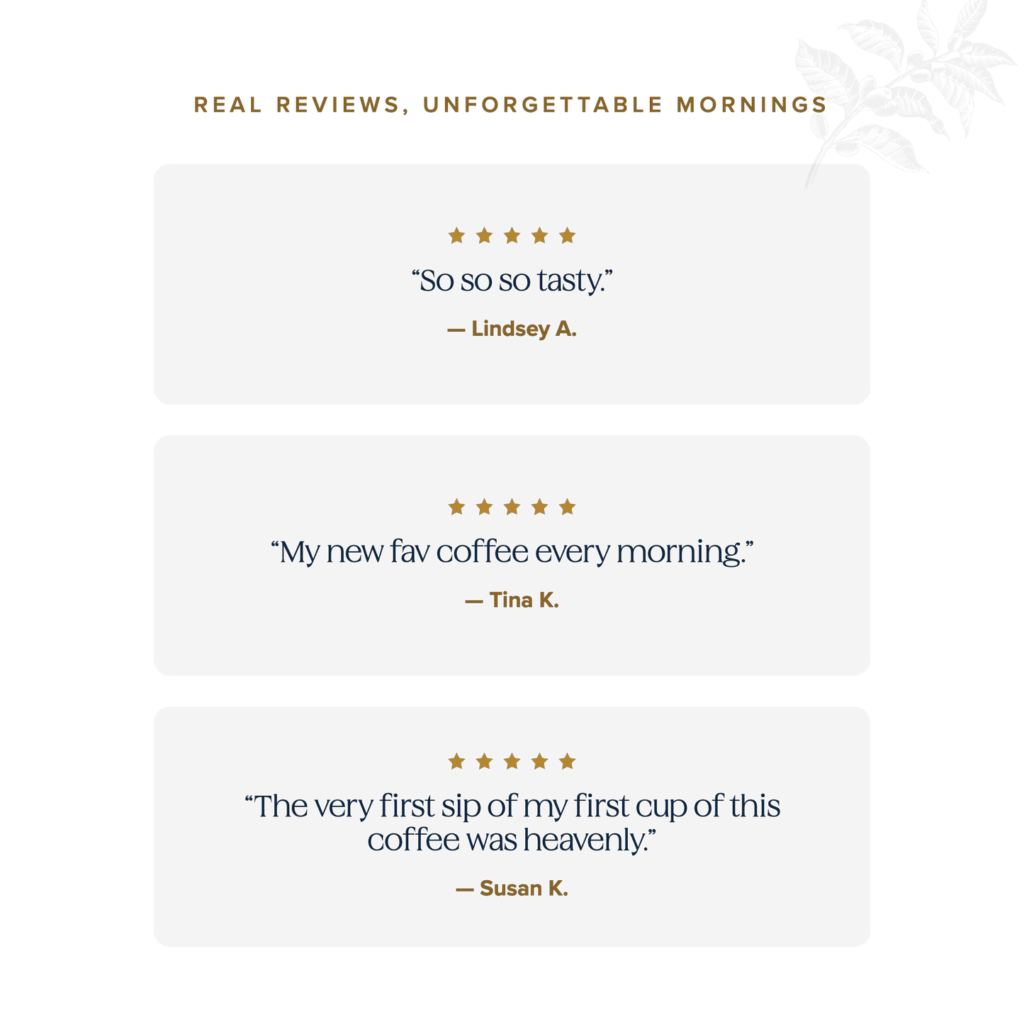 Real reviews, unforgettable mornings — five-star Schuil Coffee customer testimonials