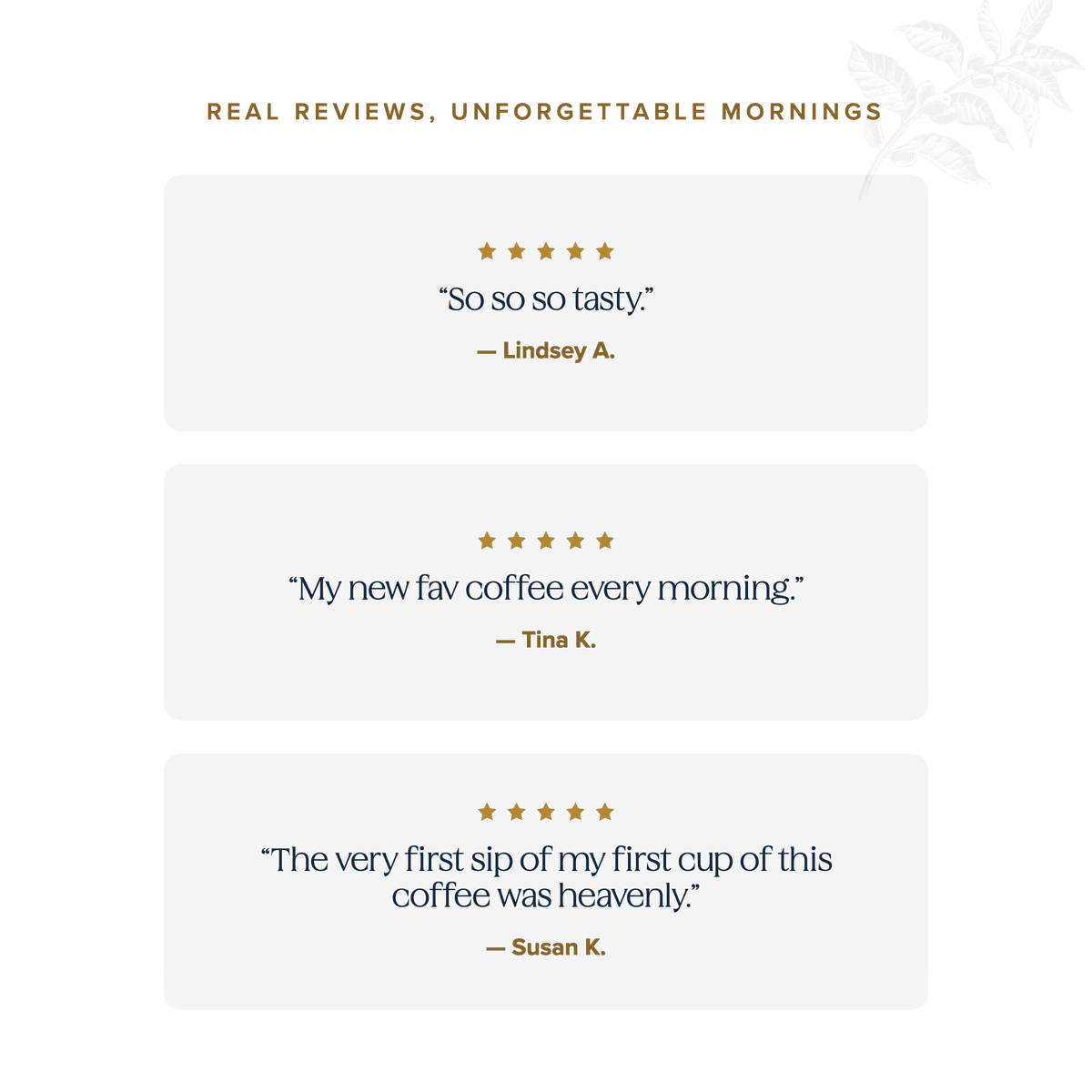 Real reviews, unforgettable mornings — five-star Schuil Coffee customer testimonials
