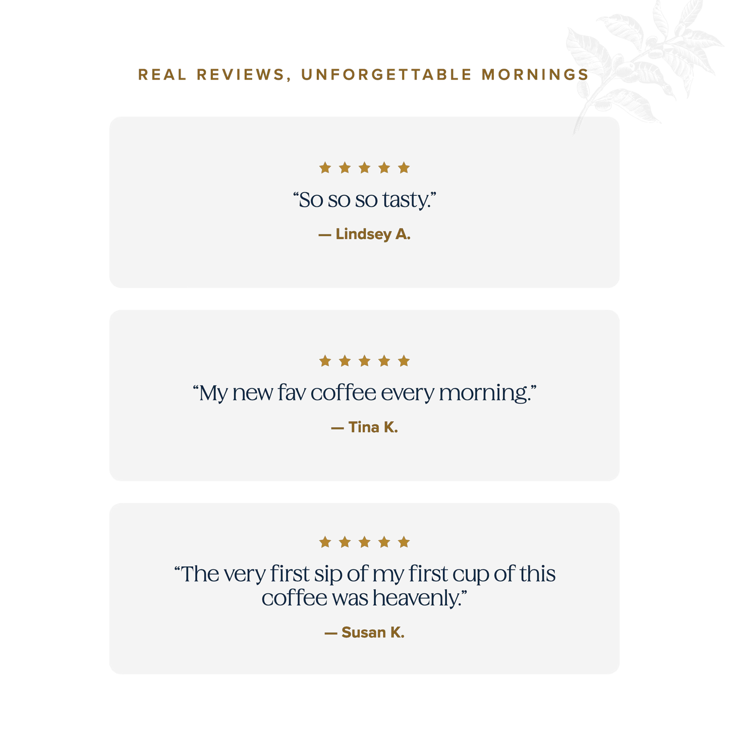 Real reviews, unforgettable mornings — five-star Schuil Coffee customer testimonials