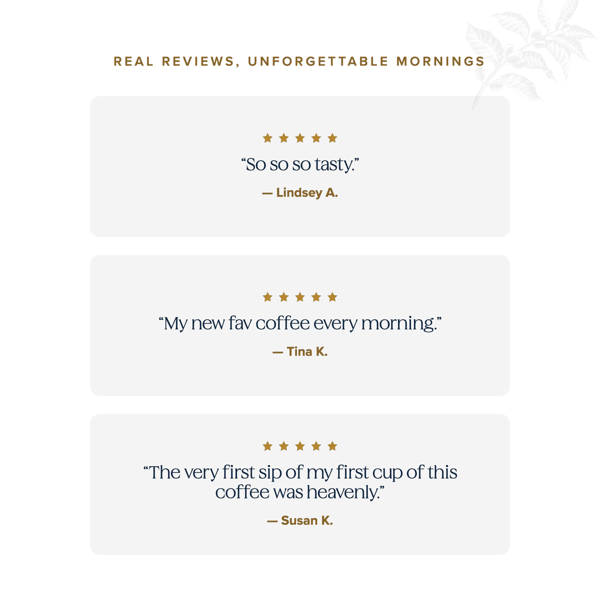 Real reviews, unforgettable mornings — five-star Schuil Coffee customer testimonials