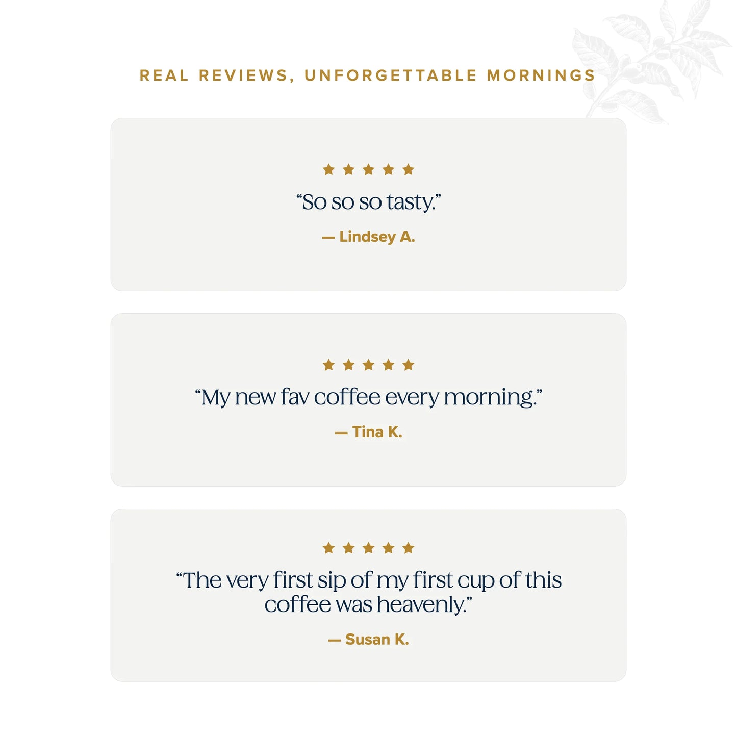 Real reviews, unforgettable mornings — five-star Schuil Coffee customer testimonials